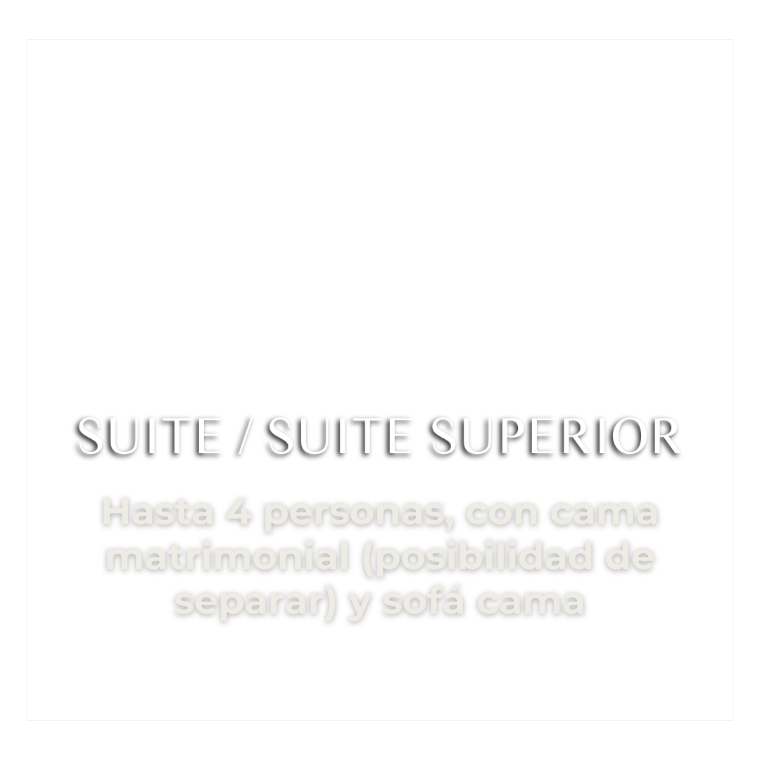 Diseño sin título (32)