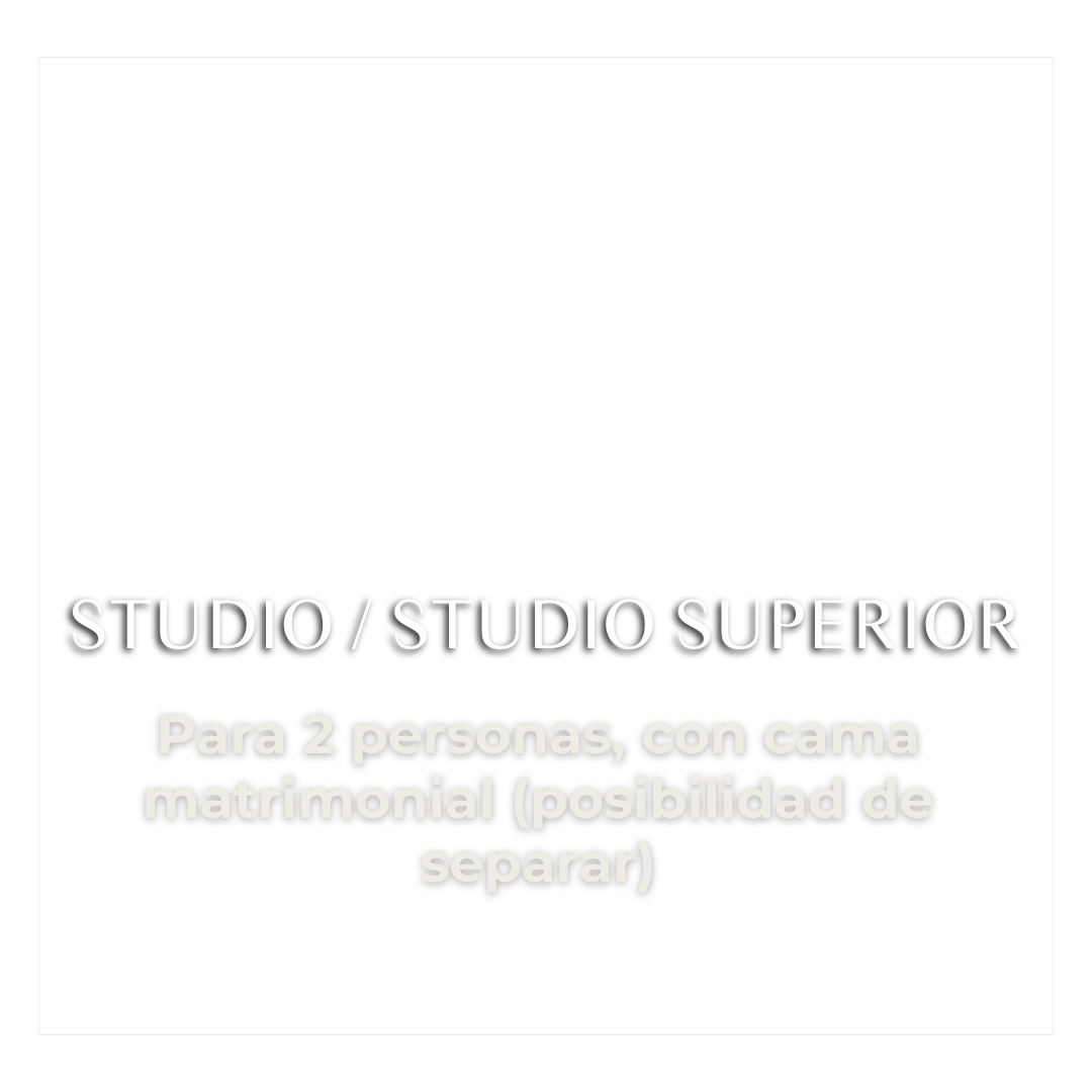 Diseño sin título (5)